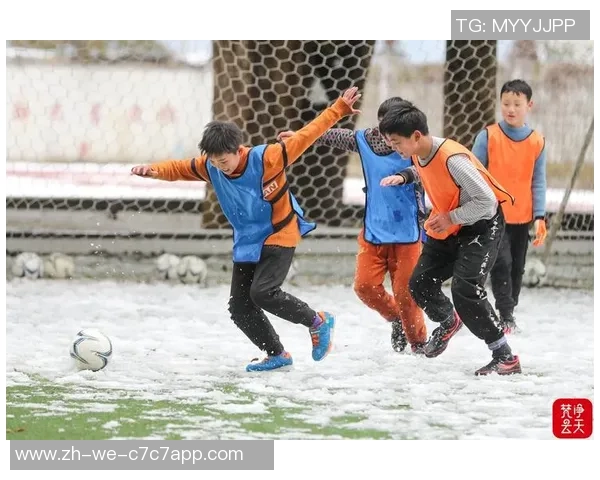 谷里足球：探索乡村足球的魅力与发展潜力，助力青少年成长与社区团结